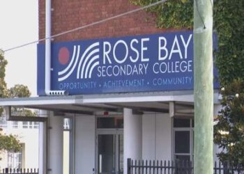 Подросток арестован после того, как, предположительно, выстрелил из пневматического ружья в другого ученика в сиднейской школе.