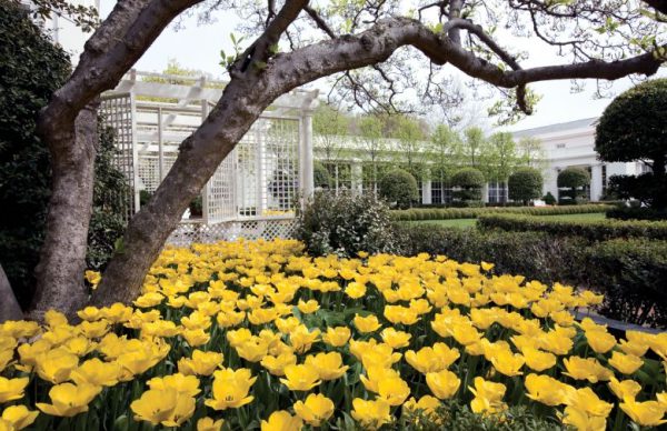 Другая часть истории, уничтоженная вместе с Восточным крылом: наследие Джеки Кеннеди.