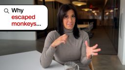 Инициатива по прекращению тестирования на животных набирает обороты, но технологии пока не могут восполнить этот пробел.