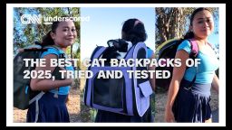 Инициатива по прекращению тестирования на животных набирает обороты, но технологии пока не могут восполнить этот пробел.