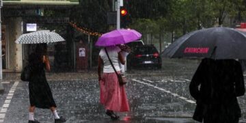 Правило о работе из дома в дождливую погоду твердо поддерживает большинство австралийцев.