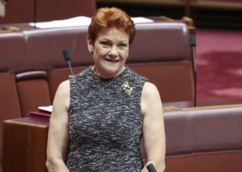 «Они отчаянно этого требуют»: предупреждение Хэнсон после шокирующих результатов выборов.