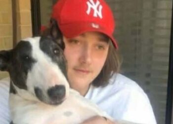 Поступают соболезнования в связи со смертью охранника, предположительно зарезанного.