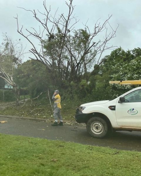 Согласно прогнозам, тропический циклон Нарелле обрушится на третий штат после пересечения побережья Северной территории.