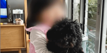 Две женщины разыскивают украденного щенка, найденного в 30 километрах от их дома.