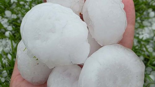 Из-за «очень опасного» шторма в некоторых районах Сиднея выпал град размером с мяч для гольфа. Из-за «очень опасного» шторма в некоторых районах Сиднея выпал град размером с мяч для гольфа.