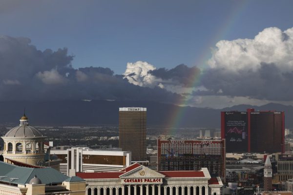 После краха игорной империи семья Трампов делает ставку на рынки прогнозов.