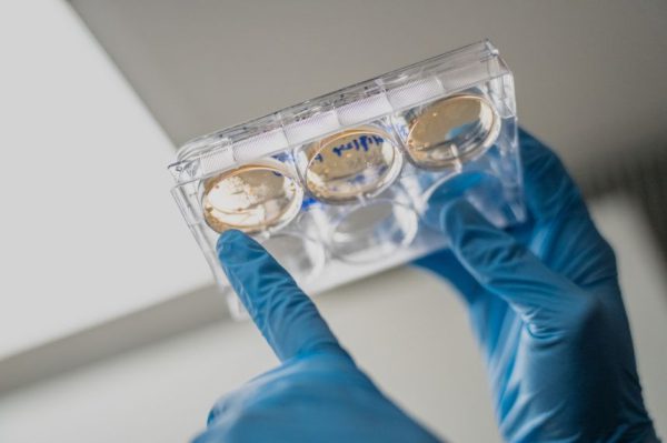 После года потрясений исследователи рака видят многообещающие признаки эффективности мРНК-вакцин.