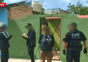 Австралийские полицейские помогли раскрыть крупную международную операцию по эксплуатации детей.