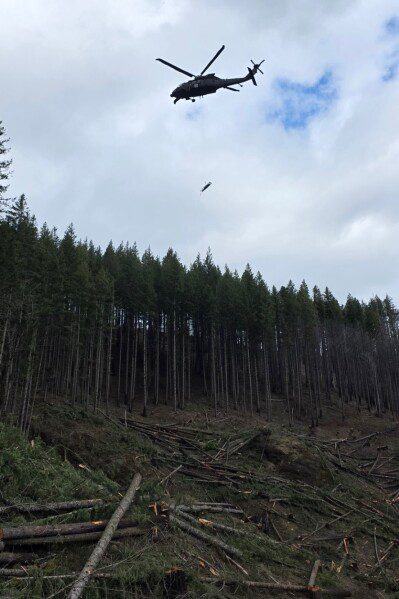 Обрушение стареющих сакур в Токио в сезон цветения вызывает опасения по поводу безопасности.
