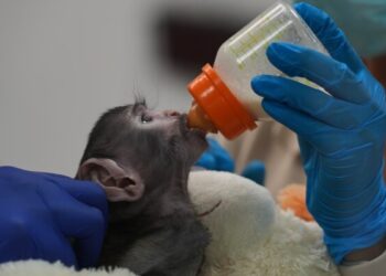 Президент Кубы заявил, что остров не желает агрессии со стороны США, но готов к боевым действиям в случае необходимости.