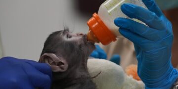 Президент Кубы заявил, что остров не желает агрессии со стороны США, но готов к боевым действиям в случае необходимости.