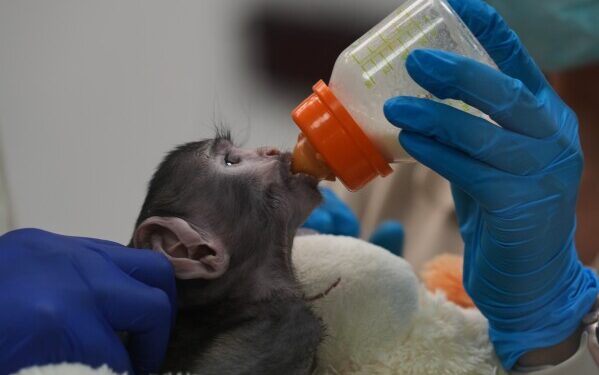 Президент Кубы заявил, что остров не желает агрессии со стороны США, но готов к боевым действиям в случае необходимости.