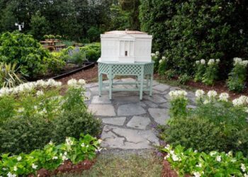 Несмотря на напряженность в отношениях с Ираном, король Карл III последует примеру своей матери и отметит укрепление американо-британских связей.