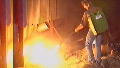 Фермеры делятся видеороликами, демонстрируя опасения по поводу новой вспышки нашествия мышей.