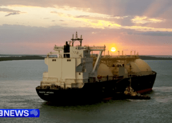 Сенат заявил, что налог на бензин принесет Австралии 17 миллиардов долларов и снизит внутренние цены.