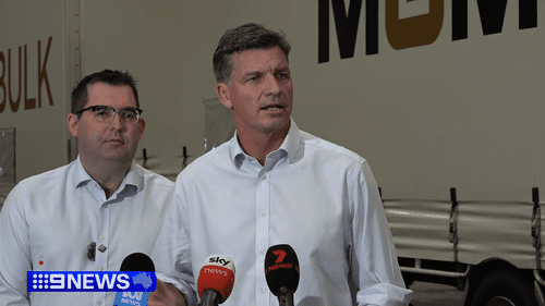 Сенат заявил, что налог на бензин принесет Австралии 17 миллиардов долларов и снизит внутренние цены.