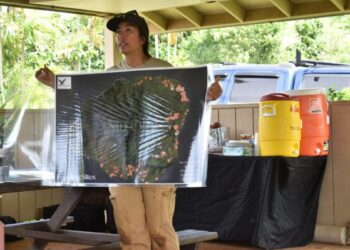 Немецкие спасатели планируют использовать воздушные подушки для спасения выброшенного на берег кита Тимми.