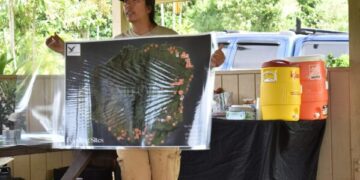 Немецкие спасатели планируют использовать воздушные подушки для спасения выброшенного на берег кита Тимми.