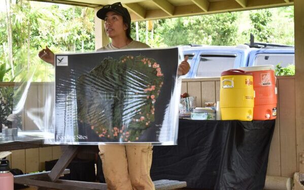 Немецкие спасатели планируют использовать воздушные подушки для спасения выброшенного на берег кита Тимми.