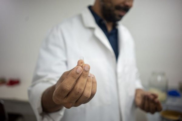 Ибогаин вызывает новый интерес у администрации Трампа. Вот что нужно знать об этом психоделике.