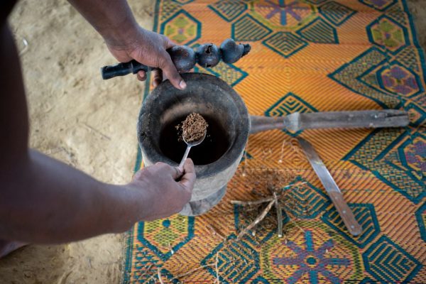 Ибогаин вызывает новый интерес у администрации Трампа. Вот что нужно знать об этом психоделике.