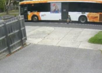 Мельбурнский школьник застрял в дверях автобуса и был утащен на дорогу.