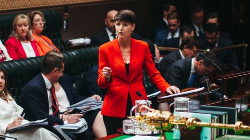 Министр признал ошибки после того, как двум приемным детям разрешили жить с серийным убийцей.