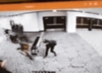 Момент, когда предполагаемый стрелок пробегает мимо охраны.