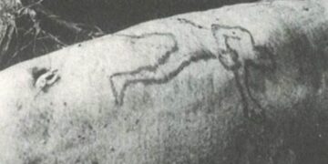 Обвинения в убийстве предъявлены после того, как акула вырвала мужчине из Сиднея.