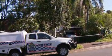 Житель Квинсленда получил восемь ножевых ранений во время вторжения в его дом на рассвете.