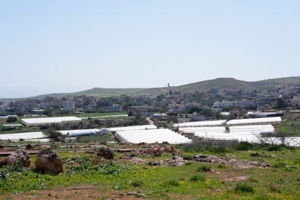 Разбитые трубы, забитые колодцы: на Западном берегу пересохли краны, поскольку израильские поселенцы нацелились на водоснабжение палестинцев.