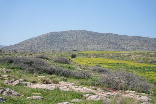 Разбитые трубы, забитые колодцы: на Западном берегу пересохли краны, поскольку израильские поселенцы нацелились на водоснабжение палестинцев.