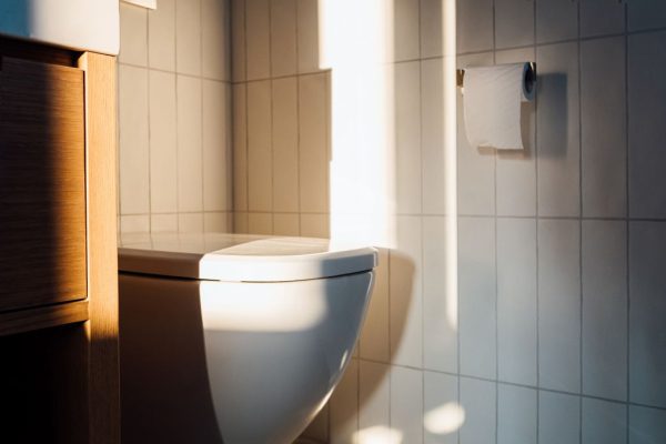 Три «П» процесса дефекации и способы их оптимизации, согласно мнению врача из Гарварда.