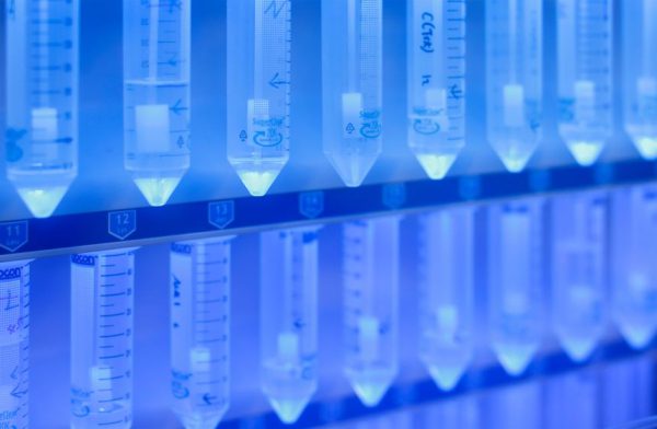 «Дикий Запад» пептидов переживает бум. Вот что реально, что рискованно и что нас ждет в будущем.