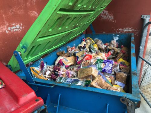 Эта австралийская семья живет без автомобиля и редко платит за продукты.