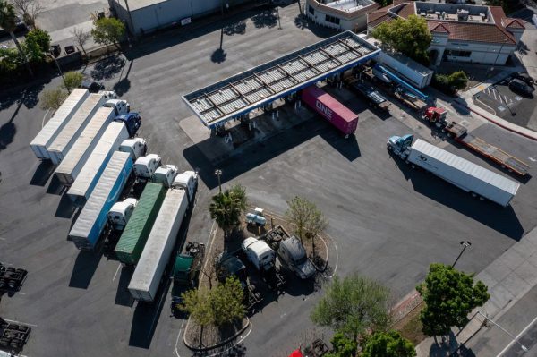 Помидоры сейчас в тренде. Возможно, вам не понравится причина.