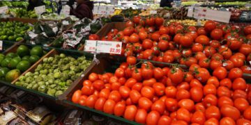 Помидоры сейчас в тренде. Возможно, вам не понравится причина.