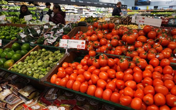 Помидоры сейчас в тренде. Возможно, вам не понравится причина.