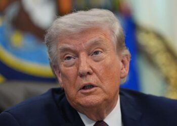 Трамп призвал союзников США «добывать нефть самостоятельно». Но, возможно, он блефует.