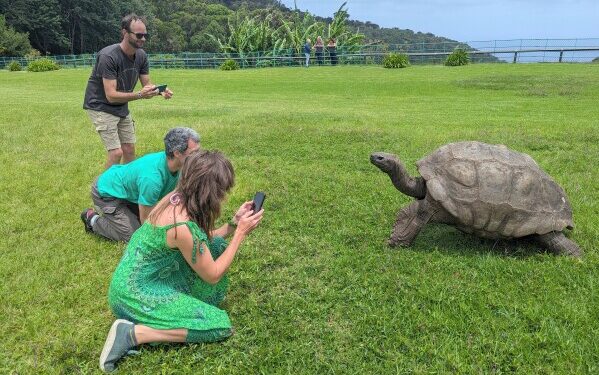 Старейшая из известных в мире черепах до сих пор жива, несмотря на слухи об обратном.