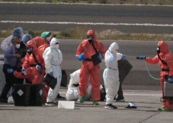 Французский пациент с хантавирусом находится в критическом состоянии, подключен к аппарату искусственного дыхания, общее число случаев заболевания возросло до 11.