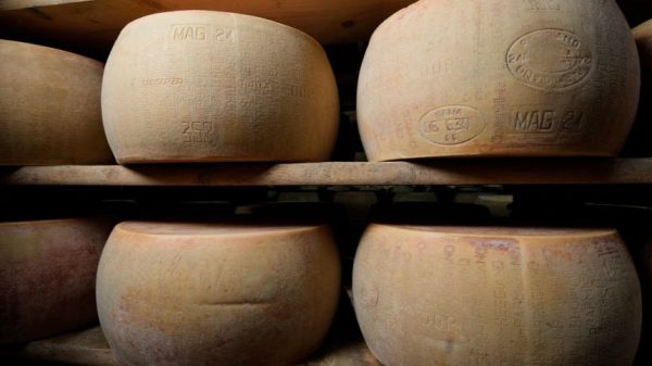 Секретный «Сырный банк» Италии, где сыр Пармиджано Реджано превращается в финансовое золото.