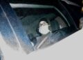 Для второй группы «невест ИГИЛ» плата за перелет после приземления в Мельбурне и Сиднее не взимается.