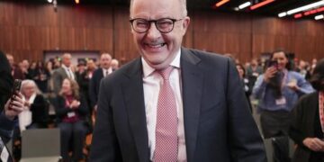 Согласно новым опросам, партия One Nation сформирует федеральную оппозицию, лейбористы будут переизбраны.