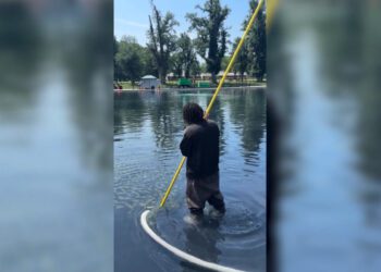 Часть недавно открытого отражающего бассейна покрыта «остаточными водорослями».