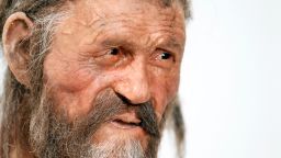 Этци, ледяной человек, давно умер, но некоторые из его древних микробов всё ещё живы.