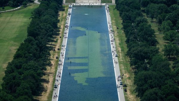 Трамп утверждает, что вандалы заставят осушить пруд, пораженный водорослями.