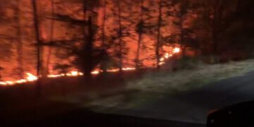 Самолеты набирают воду из реки Сены в рамках борьбы с лесным пожаром под Парижем.