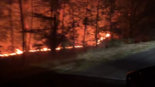 Самолеты набирают воду из реки Сены в рамках борьбы с лесным пожаром под Парижем.